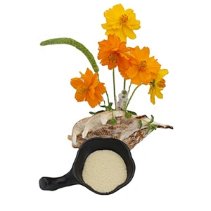 Food Additives CAS 9000-70-8 Bovine Skin Gelatin Bovine Beef Bone Gelatin 180 Bloom