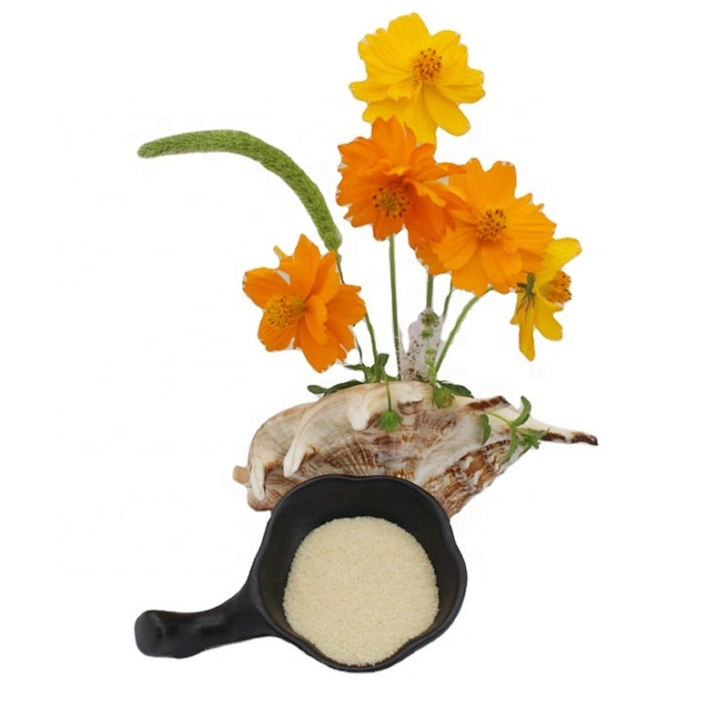 Food Additives CAS 9000-70-8 Bovine Skin Gelatin Bovine Beef Bone Gelatin 180 Bloom
